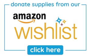 Donate to Bloom's Amazon Wish List